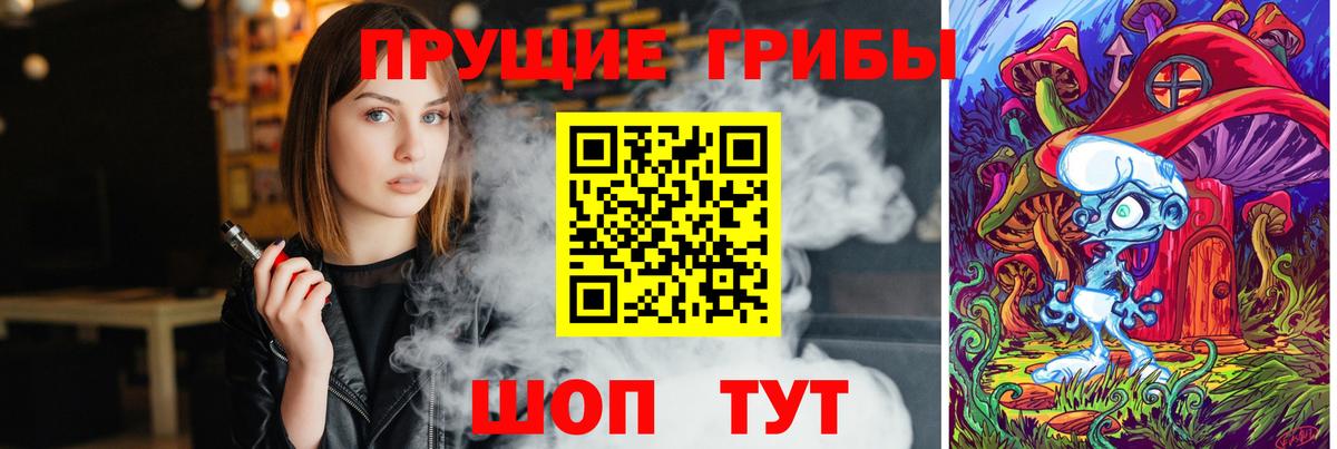 Большой Камень  наркота  Вход с VPN  Псилоцибиновые грибы мицелий 